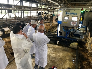 つなぎ牛舎用の搾乳ロボットを視察