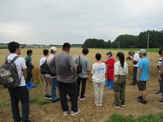 田村専門普及指導員から小麦の生育や栽培方法について説明。