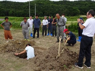 下層土までびっちり入るなたねの根を確認